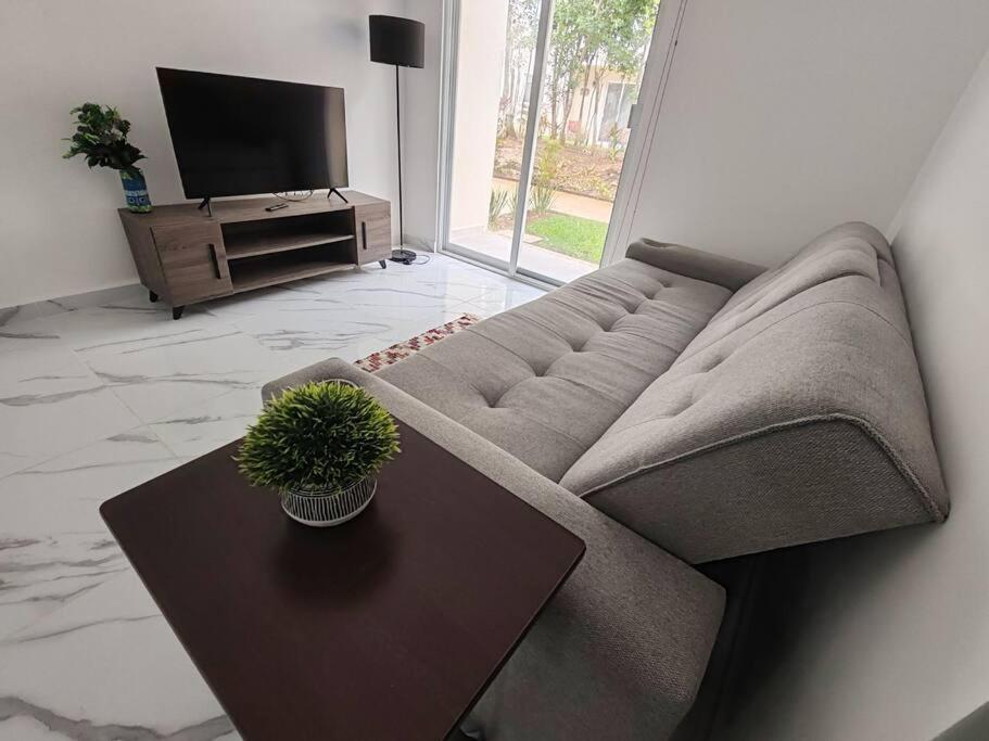 Apartamento Vive La Experiencia Y Descanso