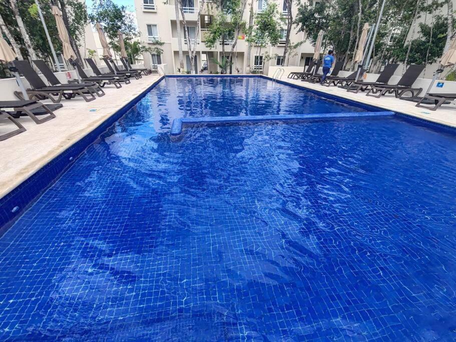 Vive La Experiencia Y Descanso Playa del Carmen