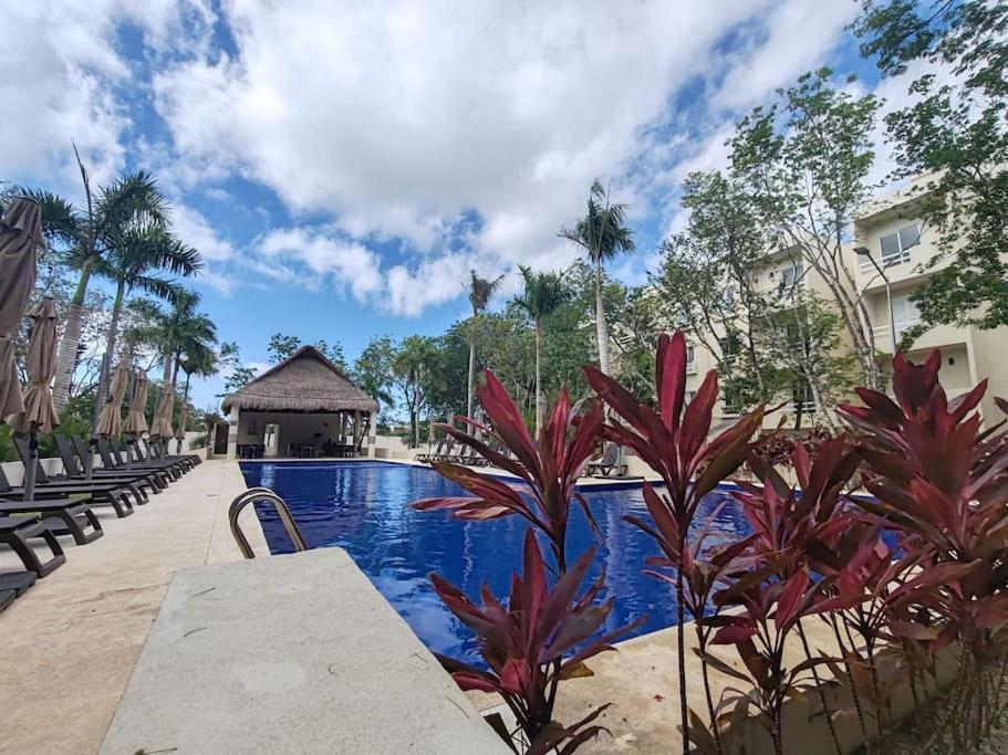 Vive La Experiencia Y Descanso * Playa del Carmen
