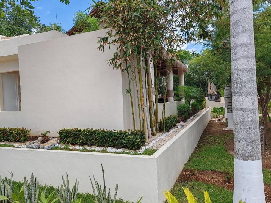 Apartamento Vive La Experiencia Y Descanso
